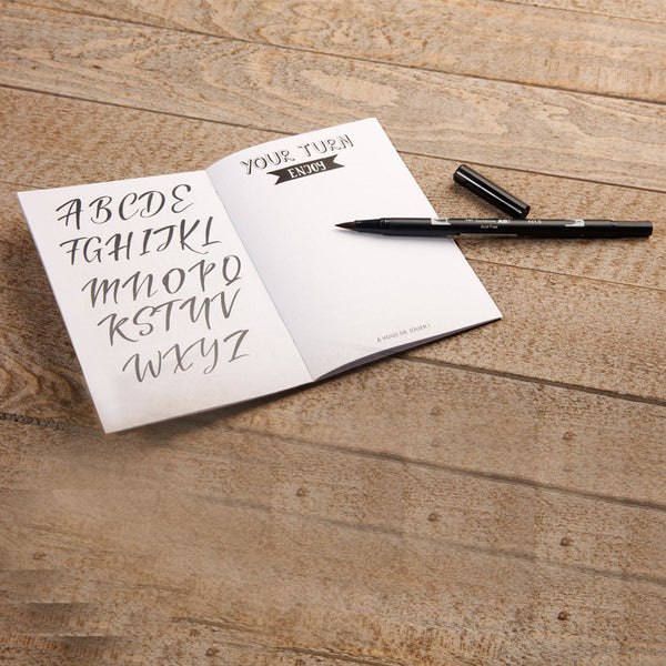 Brush Lettering Starter Kit With Tombow Brush Pen